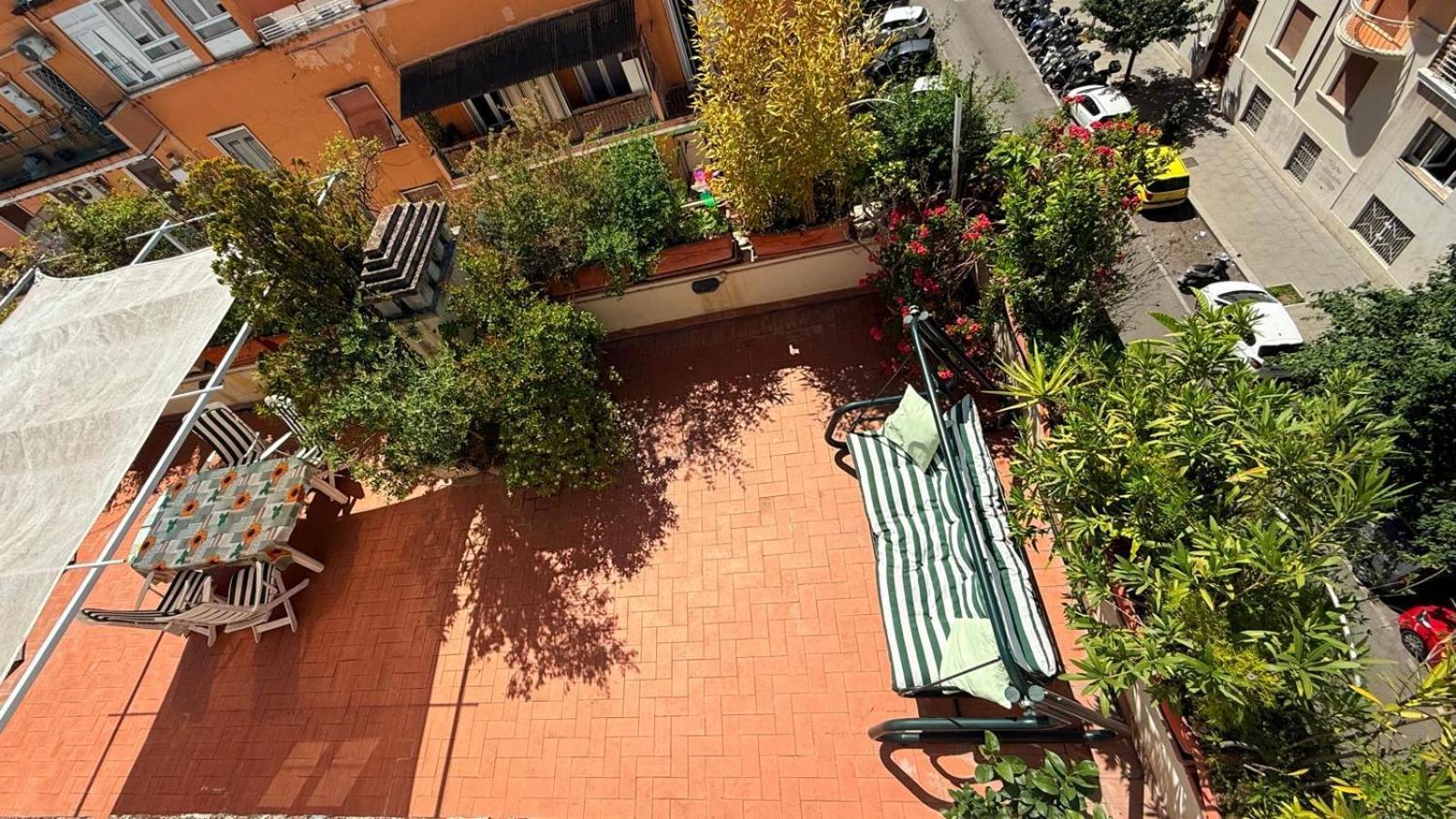 Apartment Dama Roof House *